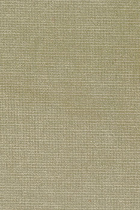 B1 Feather - Beau Velvet - Swatch image