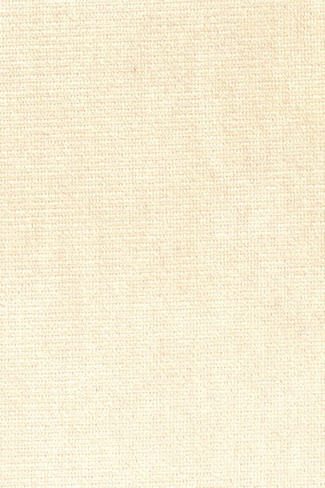 B15 Shell - Beau Velvet - Swatch image