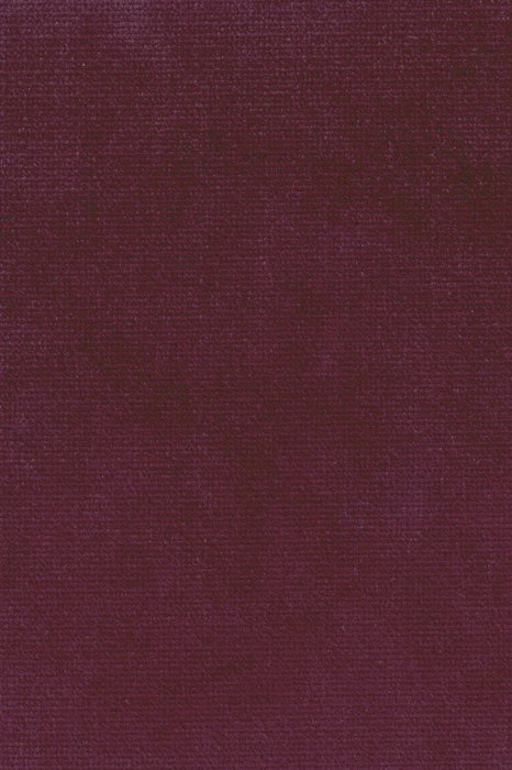 B17 Iris - Beau Velvet - Swatch image