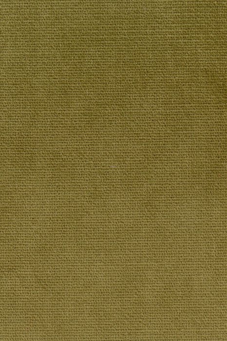 B18 Lichen - Beau Velvet - Swatch image