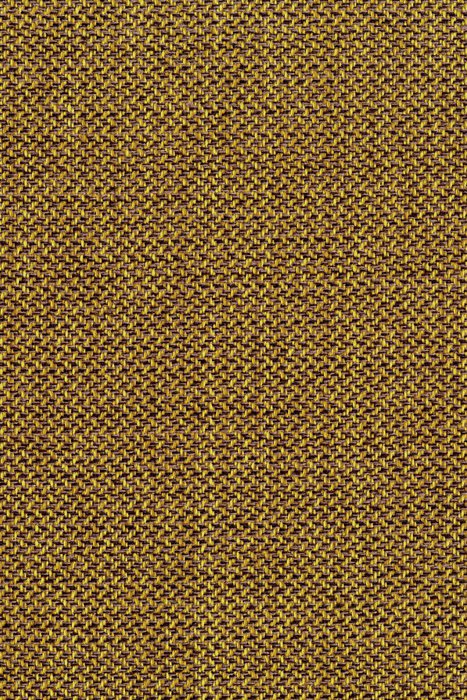 NL11 Sunflower - Northern Lights Aurora - Swatch image