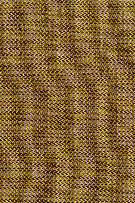 NL11 Sunflower - Northern Lights - Swatch image