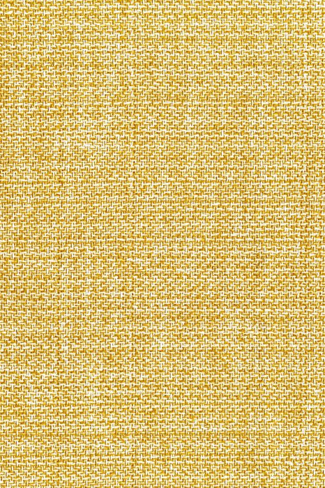 NL12 Daffodil - Northern Lights Aurora - Swatch image