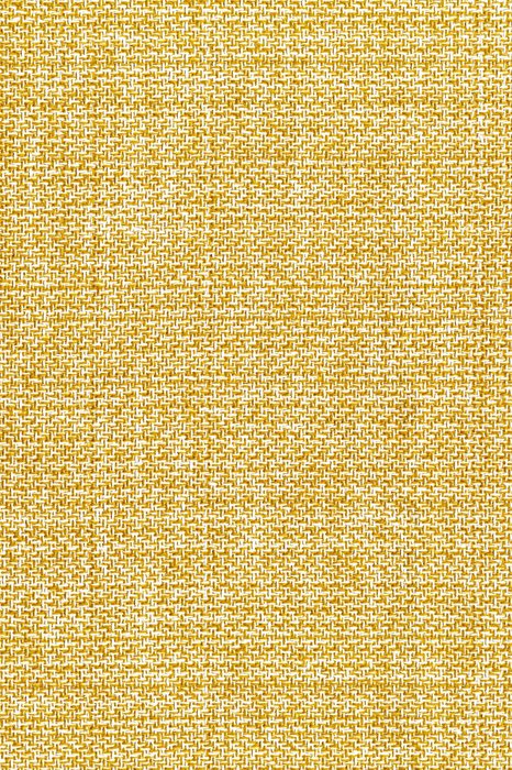 NL12 Daffodil - Northern Lights - Swatch image