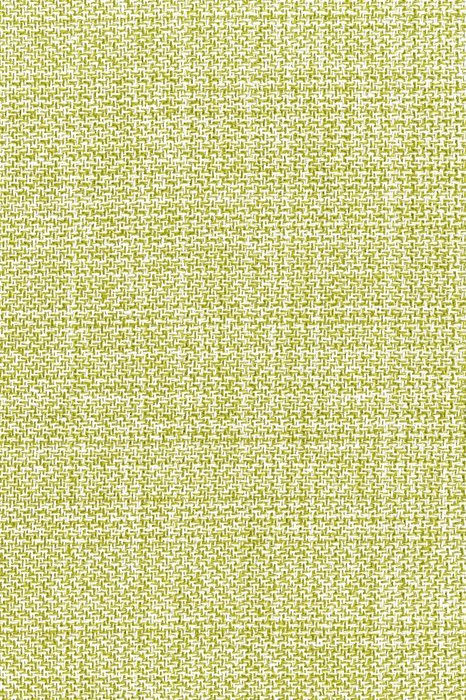 NL14 Lily - Northern Lights - Swatch image