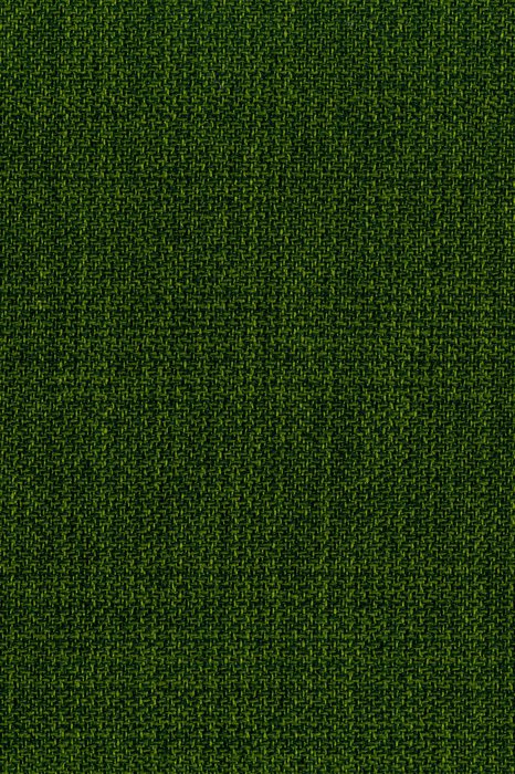 NL15 Shamrock - Northern Lights - Swatch image