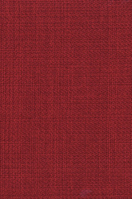 NL4 Poppy - Northern Lights - Swatch image