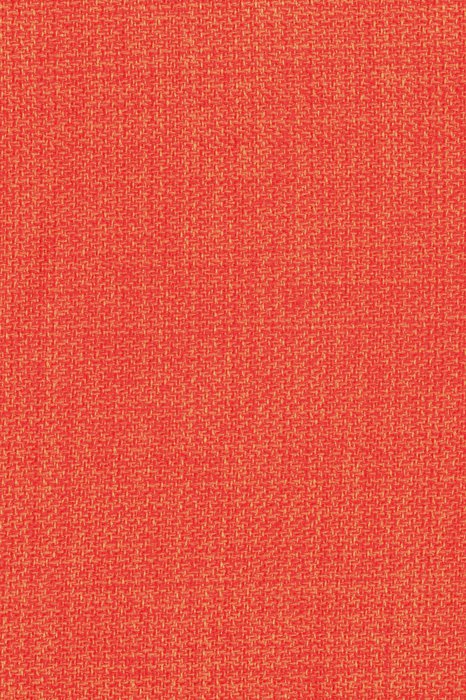 NL5 Mandarin - Northern Lights - Swatch image