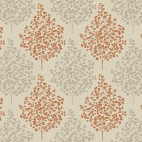 Birnam FS6 Fox