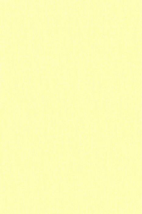 RBB5 Calico - Roller Blinds Blackout - Swatch image