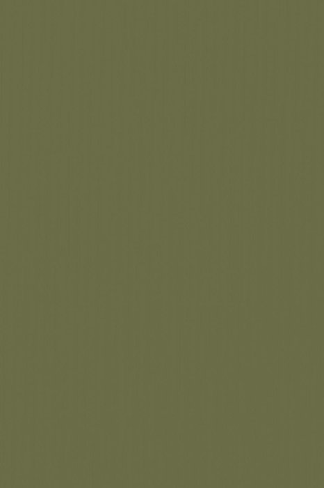 RBB35 Green - Roller Blinds Blackout - Swatch image