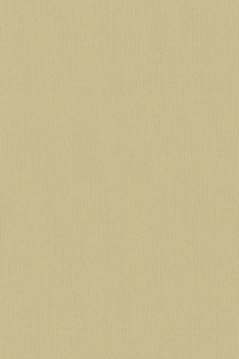 RBB4 Stone Grey - Roller Blinds Blackout - Swatch image