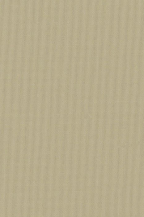 RBD4 Stone Grey - Roller Blinds Dimout - Swatch image