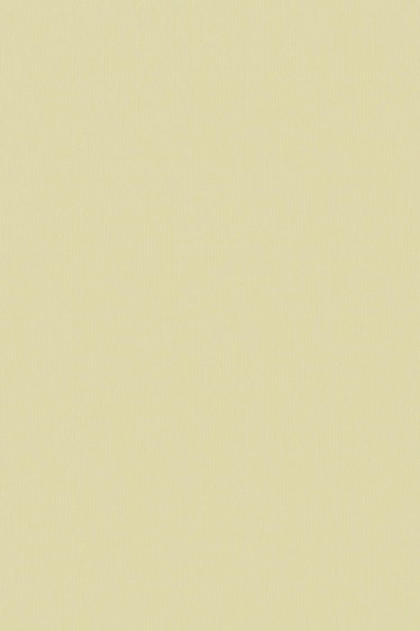 RBD1 Vanilla - Roller Blinds Dimout - Swatch image
