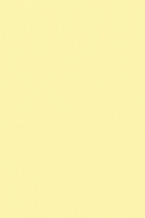 RBB1 Vanilla - Roller Blinds Blackout - Swatch image