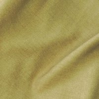 Blyth BL25 Maize
