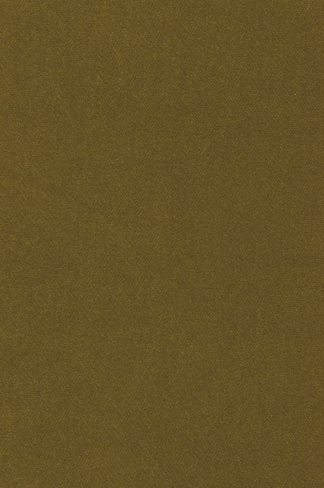 BN2 Dorado - Bonita/Salsa Velvet - Swatch image