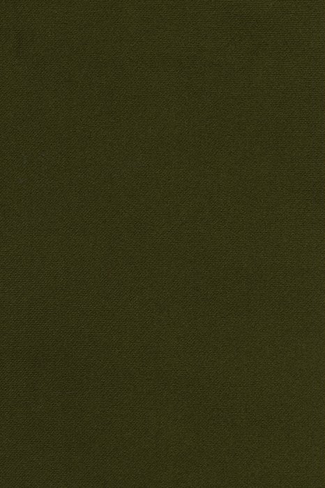 BN5 Cypress - Bonita/Salsa Velvet - Swatch image