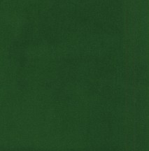 Salsa/Salsa Eco S6 Emerald