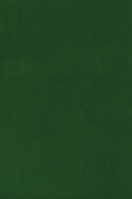 BN6 Emerald - Bonita/Salsa Velvet - Swatch image