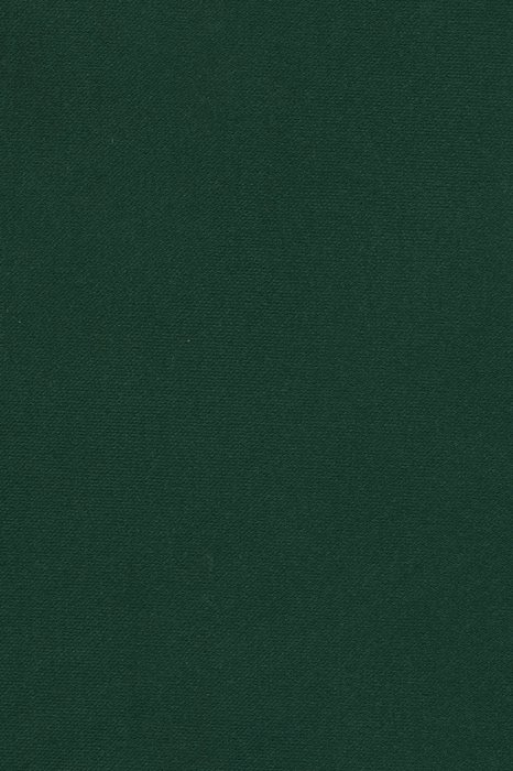 BN7 Kelp - Bonita/Salsa Velvet - Swatch image