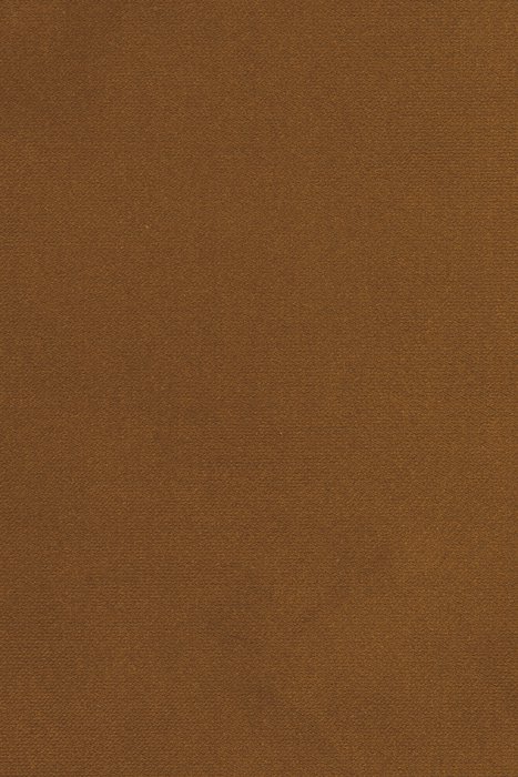 BN8 Cinnamon - Bonita/Salsa Velvet - Swatch image