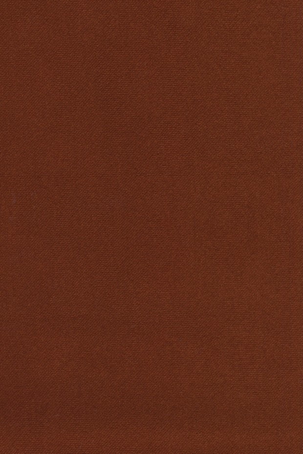 S9 Sundance - Salsa/Salsa Eco - Swatch image