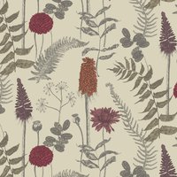 Bowood FS12 Tayberry