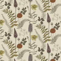Bowood FS8 Camomile