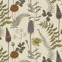 Bowood FS8 Camomile