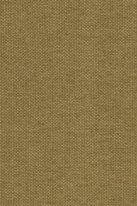 C12 Shore - Celeste Dimout - Swatch image