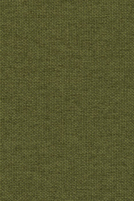 C16 Algae - Celeste Dimout - Swatch image