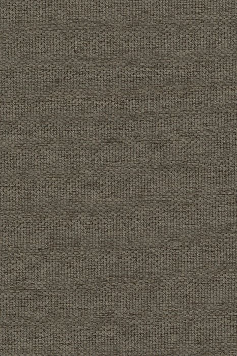 C6 Buck - Celeste Dimout - Swatch image