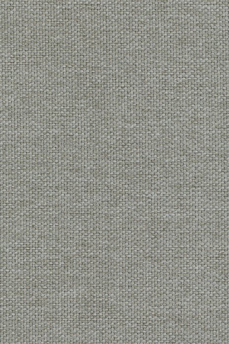 C8 Ashen - Celeste Dimout - Swatch image