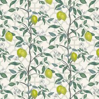 Citrus Grove ML8 Lime