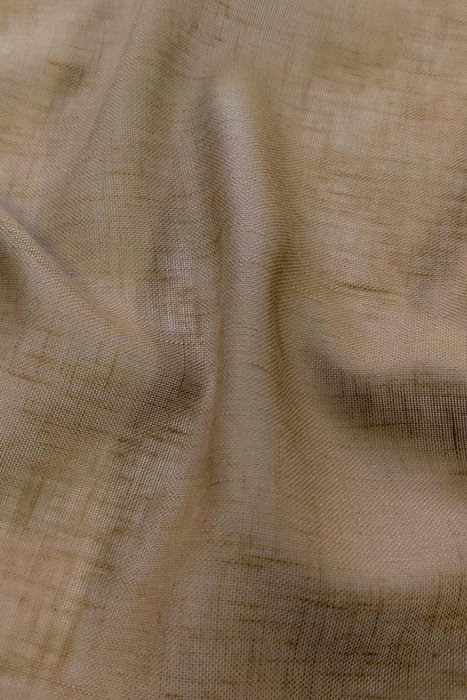 CO09 Tickled Trout - Shellen & Cove Recycled Voiles - Swatch image