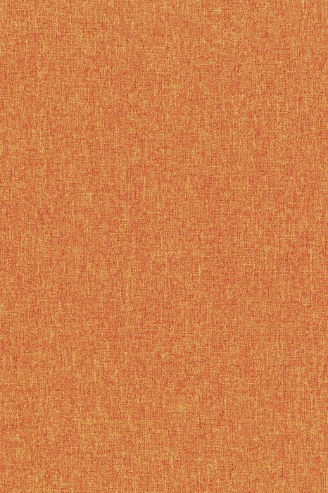 NL5 Apricot - Northern Lights - Swatch image