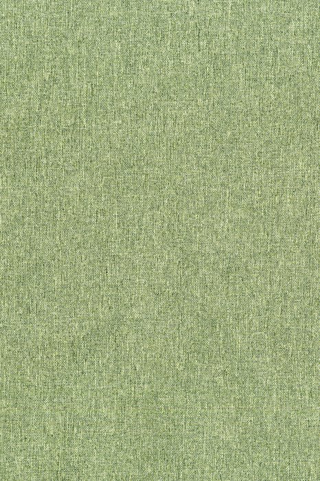 NL7 Artichoke - Northern Lights - Swatch image