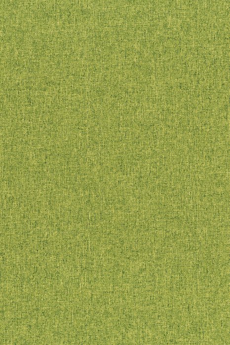 NL8 Mantis - Northern Lights - Swatch image