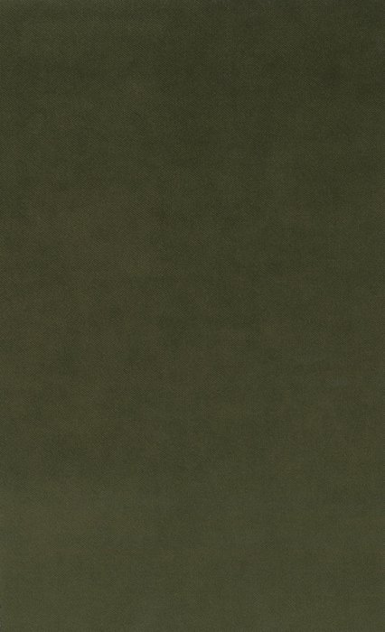 DOV10129 Fern - Dove Velvet - Swatch image