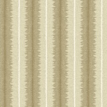Fenix SF2 Macadamia