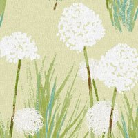 Grandiflora W1 Fern
