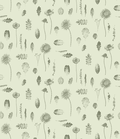 FS21 Ash - Flores Silvestri - Swatch image