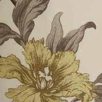 Lily H1 Acorn