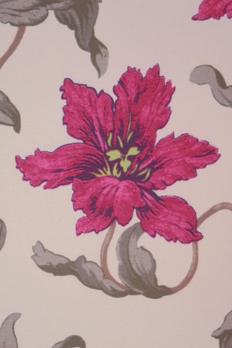 H2 Raspberry - Heligan - Swatch image
