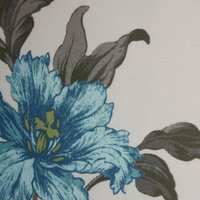 Lily H4 Lake