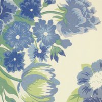 Richmond H2 Delphinium