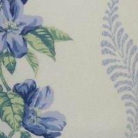 Rosemore H2 Delphinium