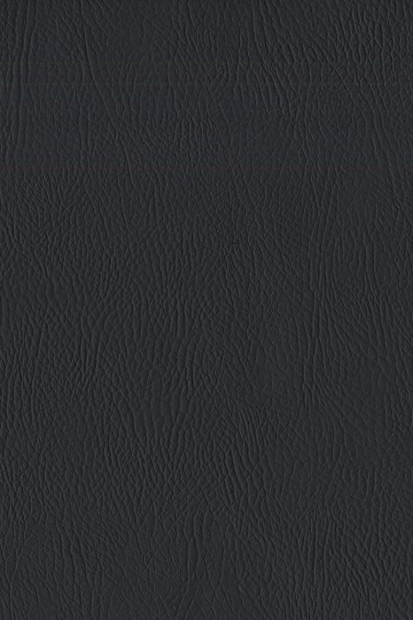 H13 Black Swan - Hiako Faux Leather - Swatch image