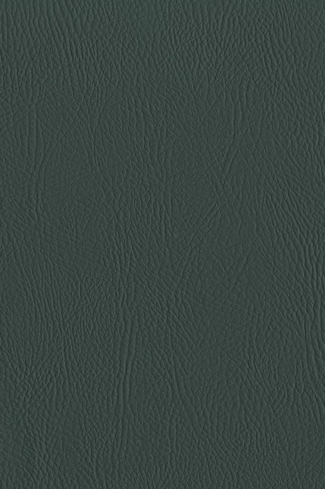 H6 Spruce - Hiako Faux Leather - Swatch image
